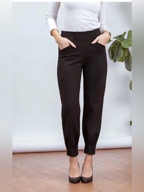 Purest form Willow Double Knit Ponte Relaxed Work Pant Pleated Ankle small